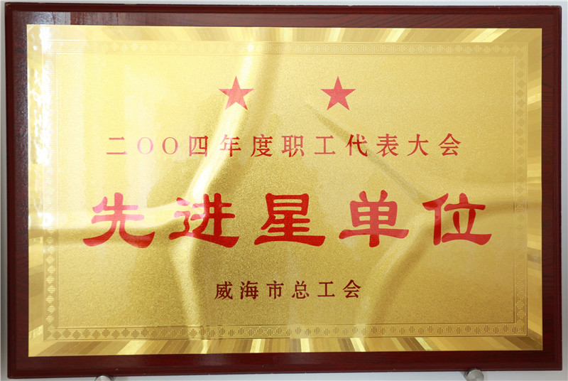 2004年度职工代表大会先进星单位