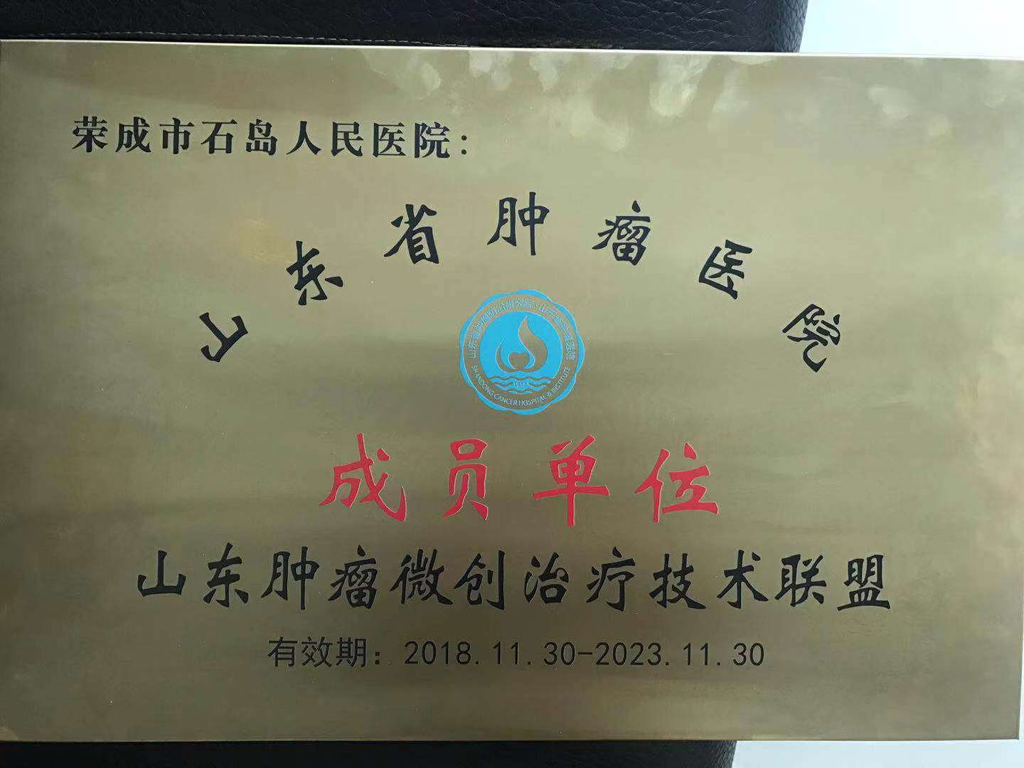 山东省肿瘤医院（成员单位）