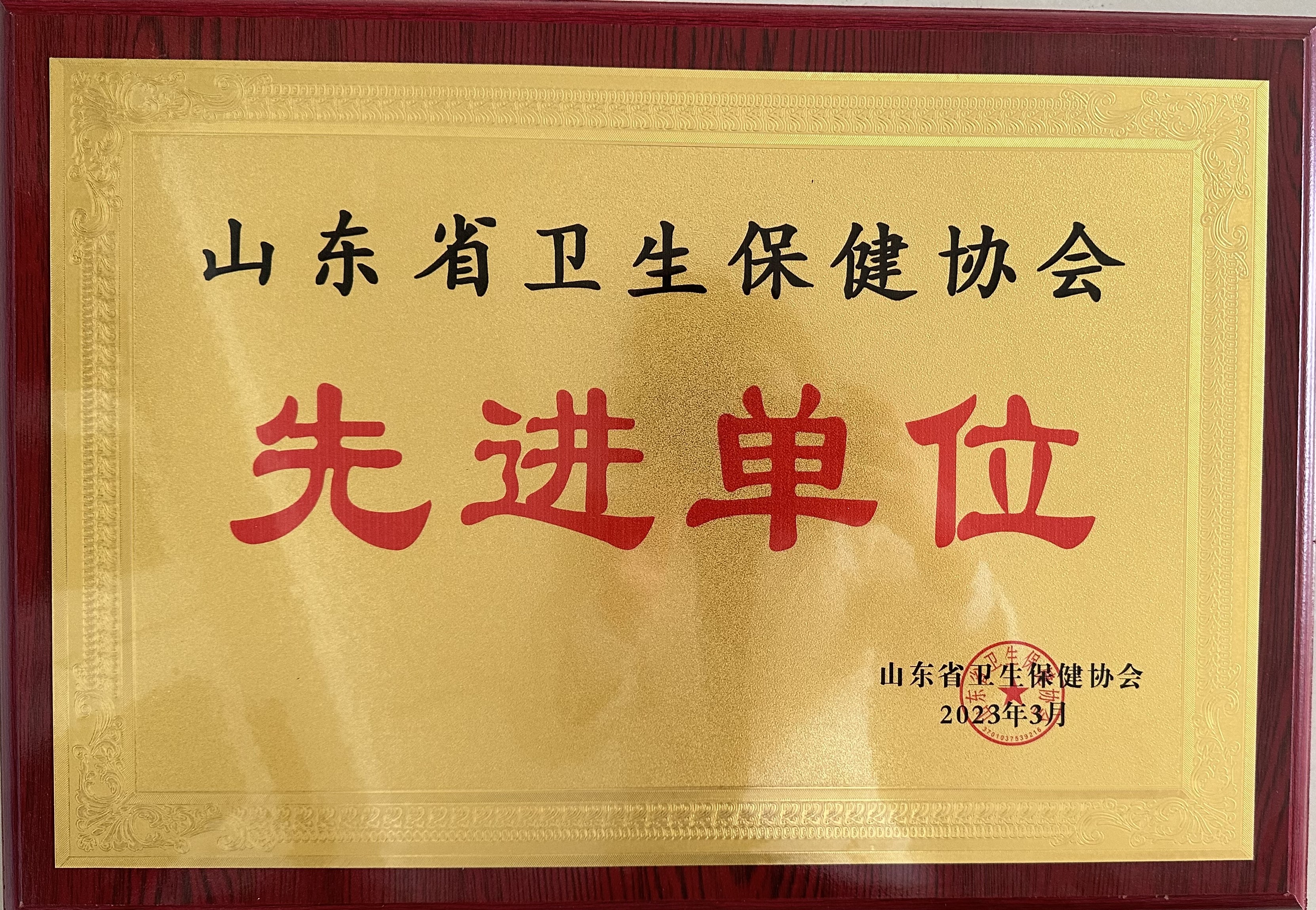 山东省卫生保健协会先进单位