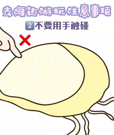 【满意在荣成】石岛人民医院专家提醒：夏日海边游玩小心海蜇蜇伤